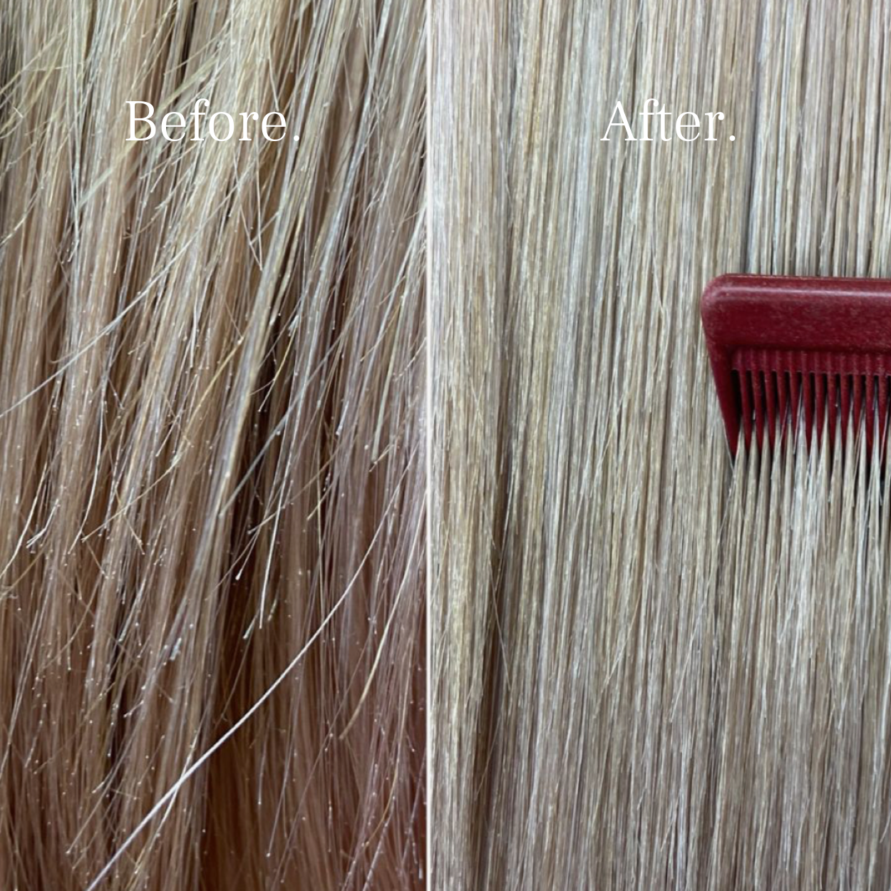 Mayne Society™ Premium Water Filter