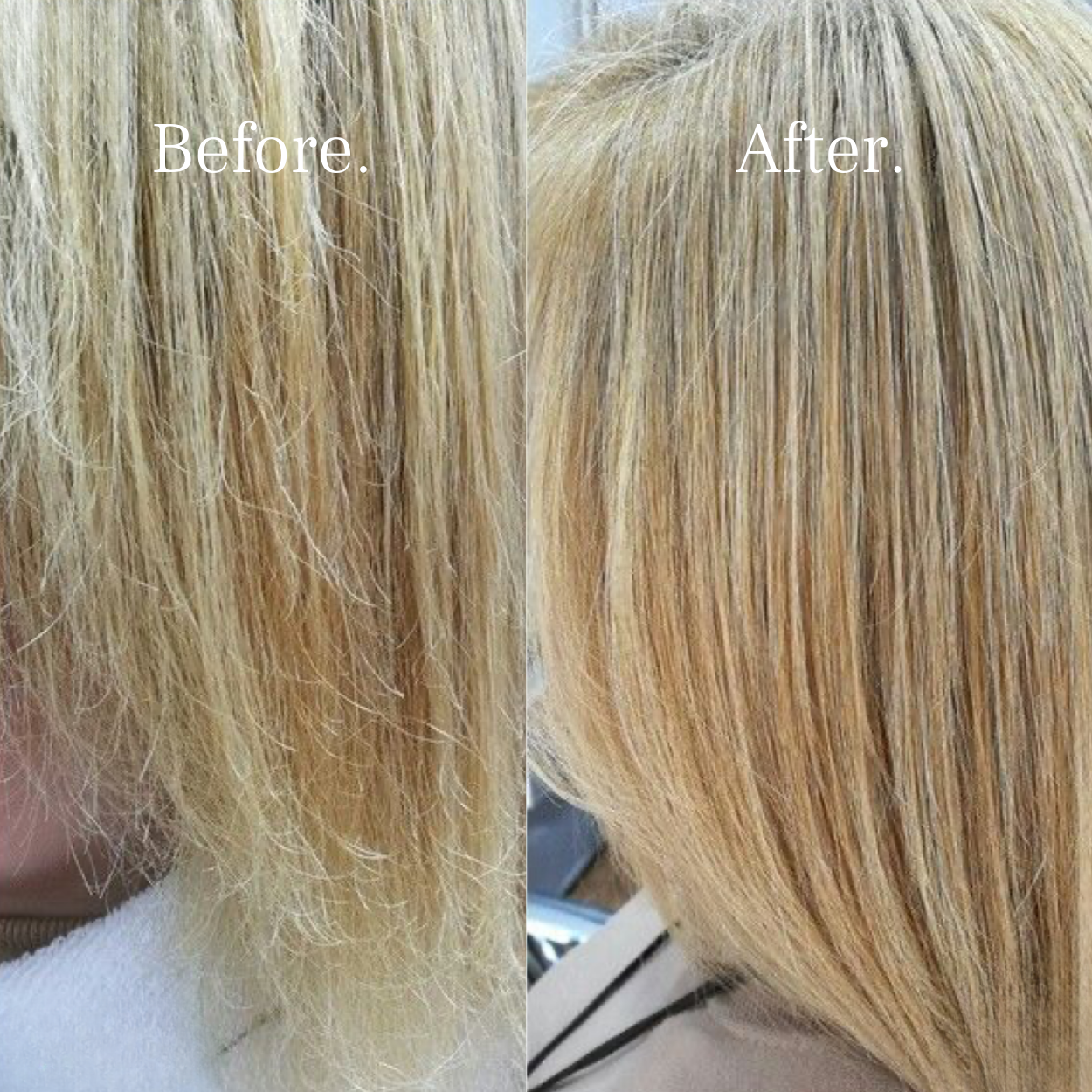 Mayne Society™ Premium Water Filter