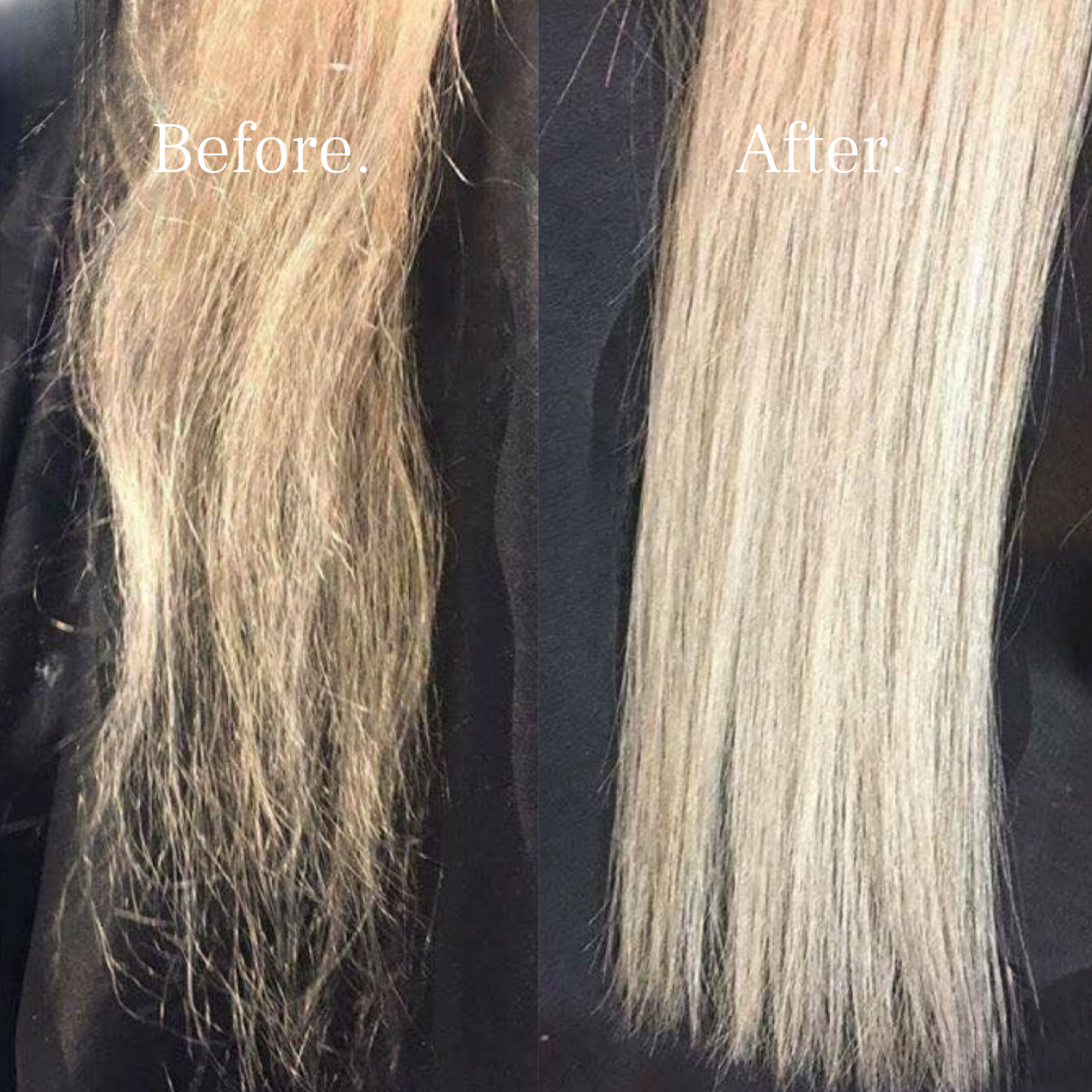 Mayne Society™ Premium Water Filter