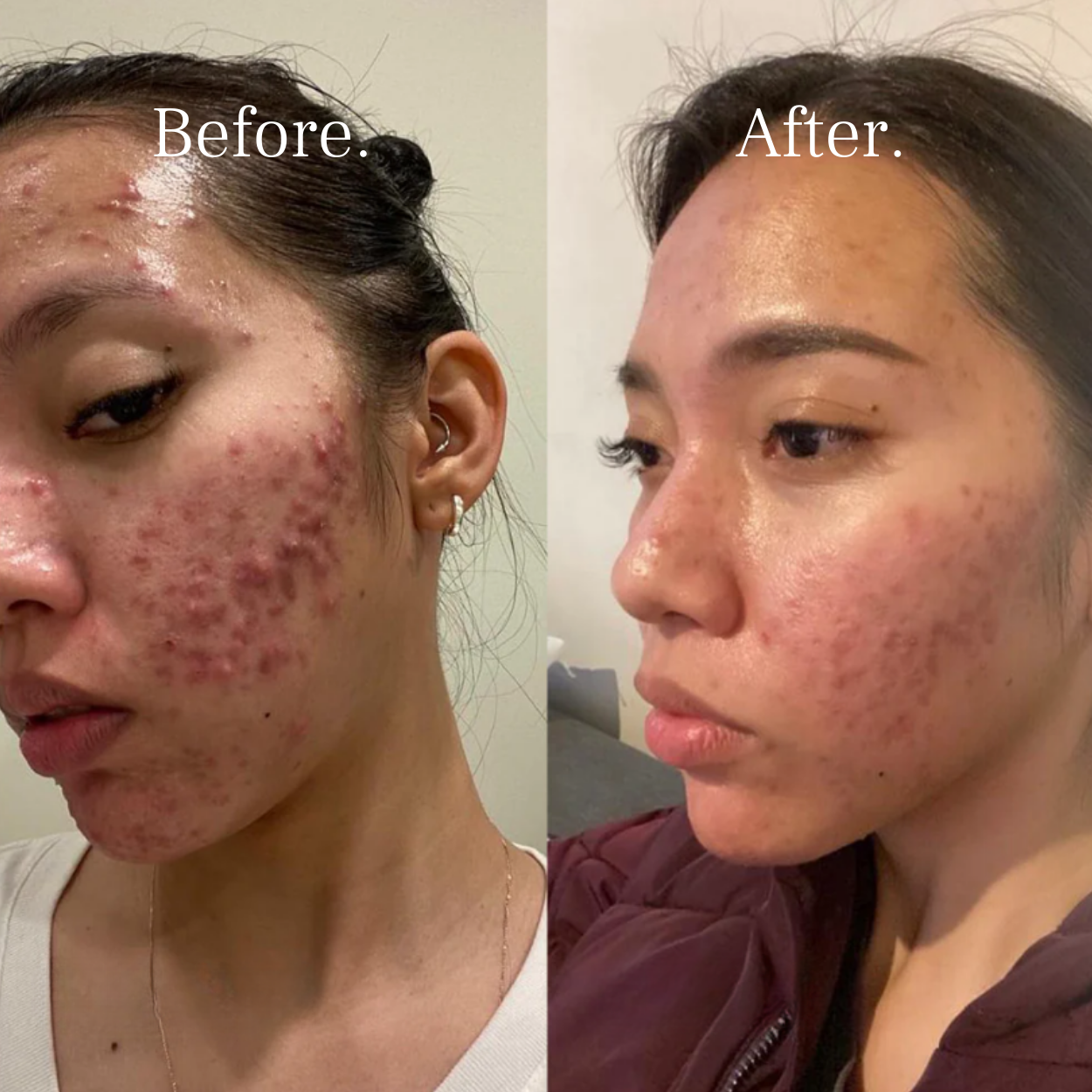 Mayne Society™ Premium Water Filter